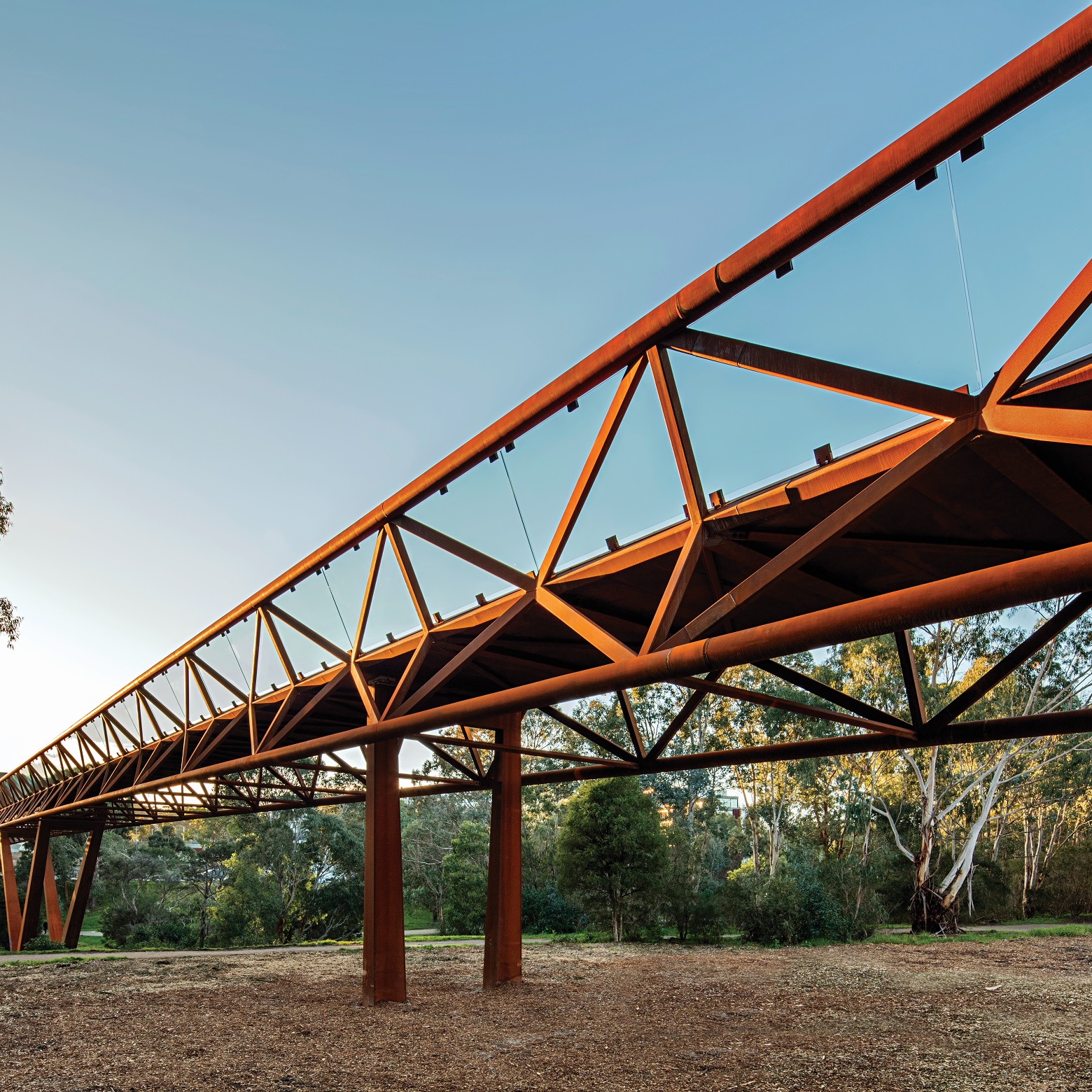 Australian Steel Institute - Falcon Street Footbridge, Sydney