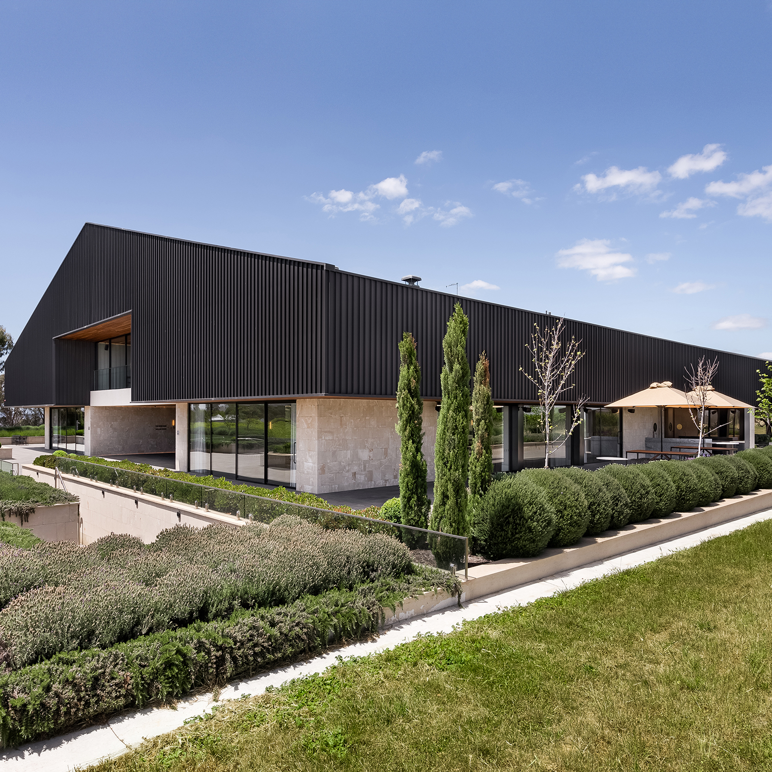 Featured image of Five Vineyard